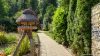 Top in Schuss: in Weidehohl! - 20250811A-08