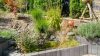 Top in Schuss: in Weidehohl! - 20250811A-13